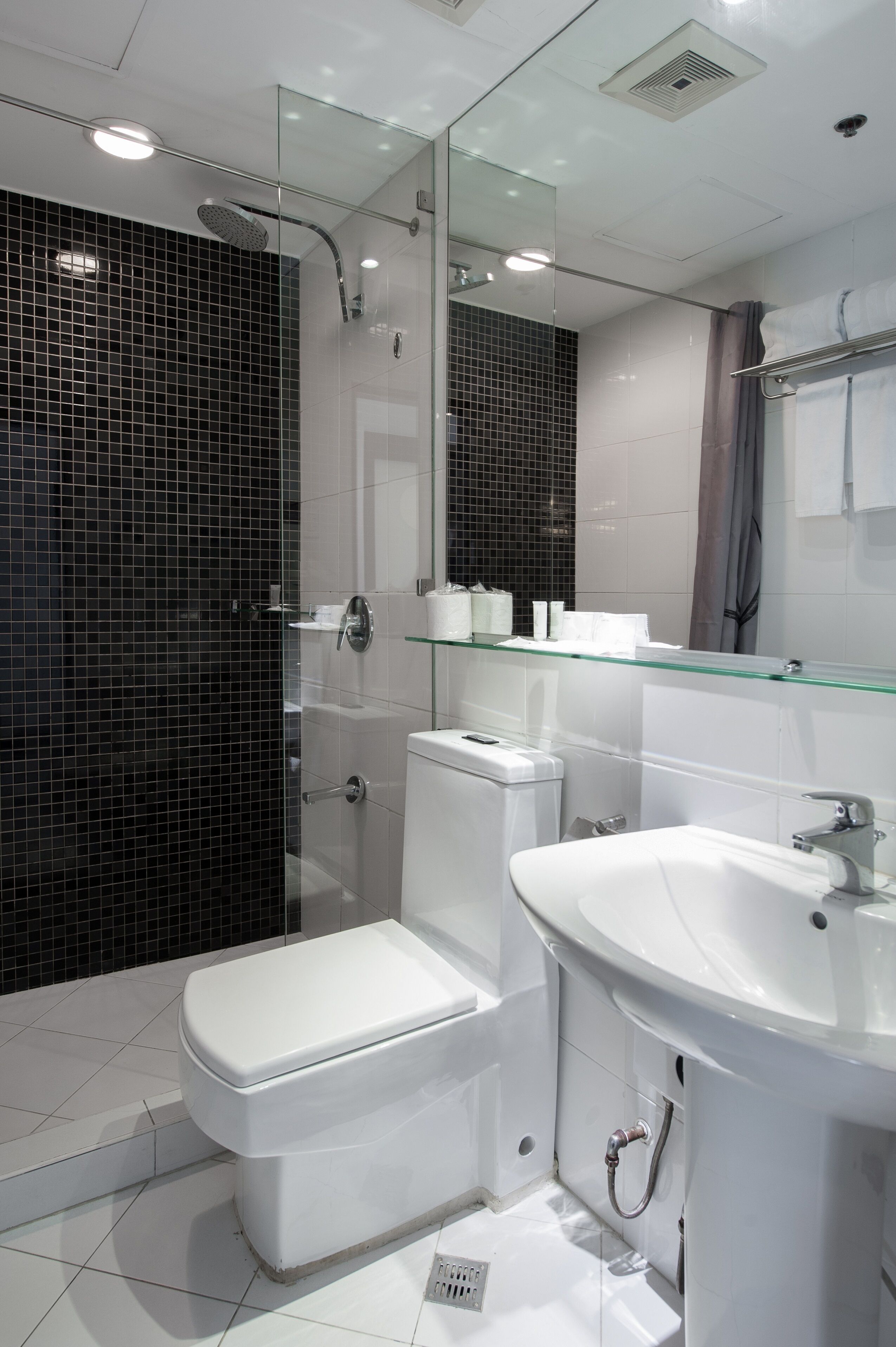 A modern bathroom with a glass shower enclosure, a white toilet, and a sink with a mirror above it.