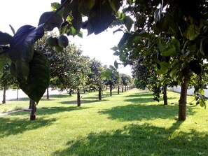 Property grounds