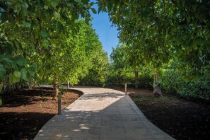 Jardín