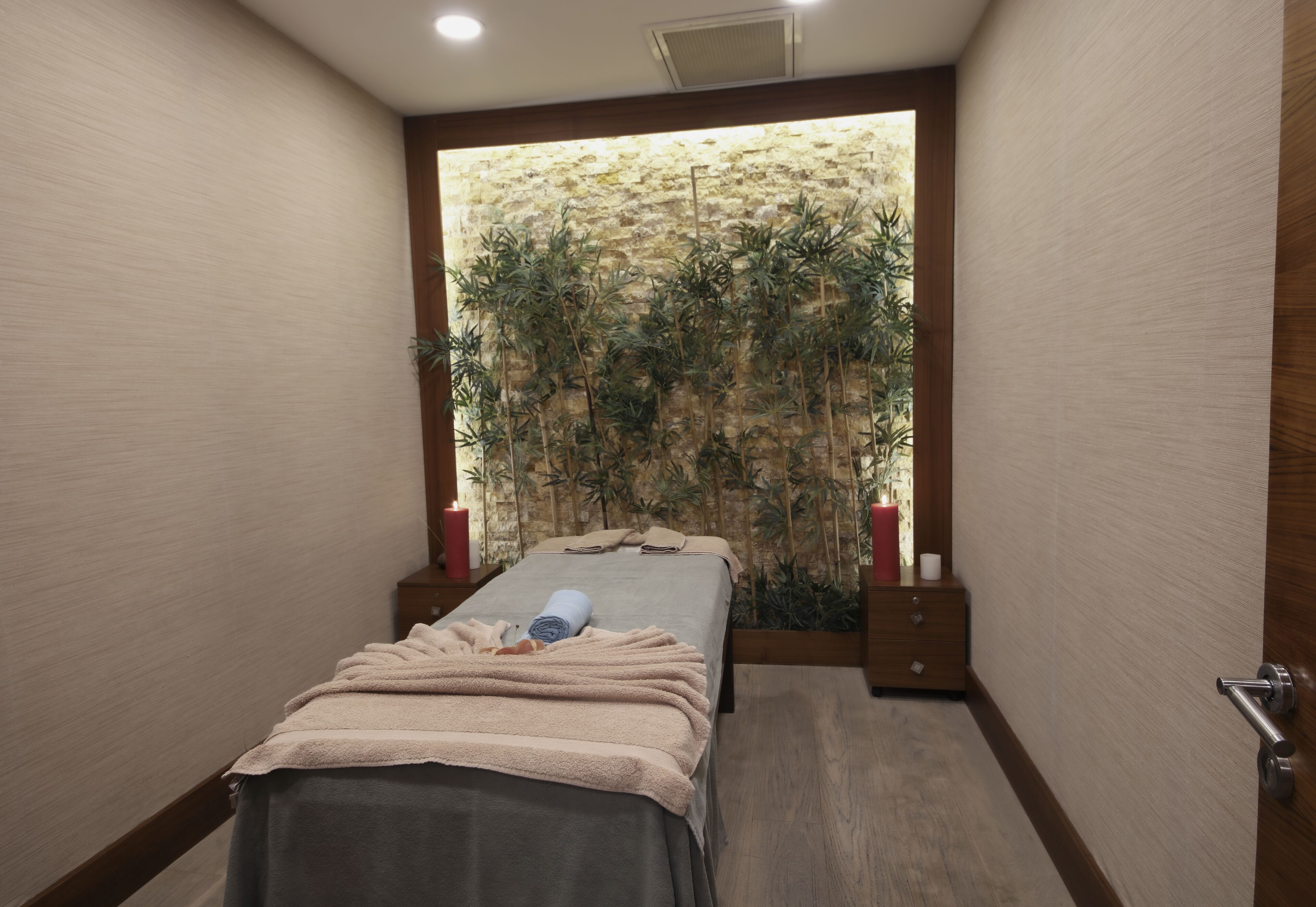 Una habitación con cama, una planta en la pared y suelo de madera.