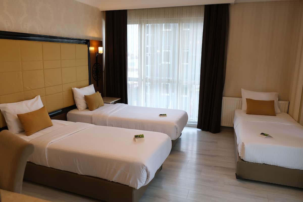 Tripla Deluxe | Minibar, una cassaforte in camera, una scrivania, insonorizzazione