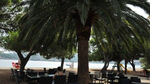 Un espacio al aire libre con mesas y sillas, una palmera y vista al agua.