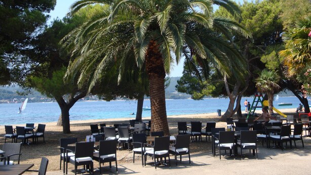 Un espacio al aire libre con mesas y sillas, palmeras y vista al mar.
