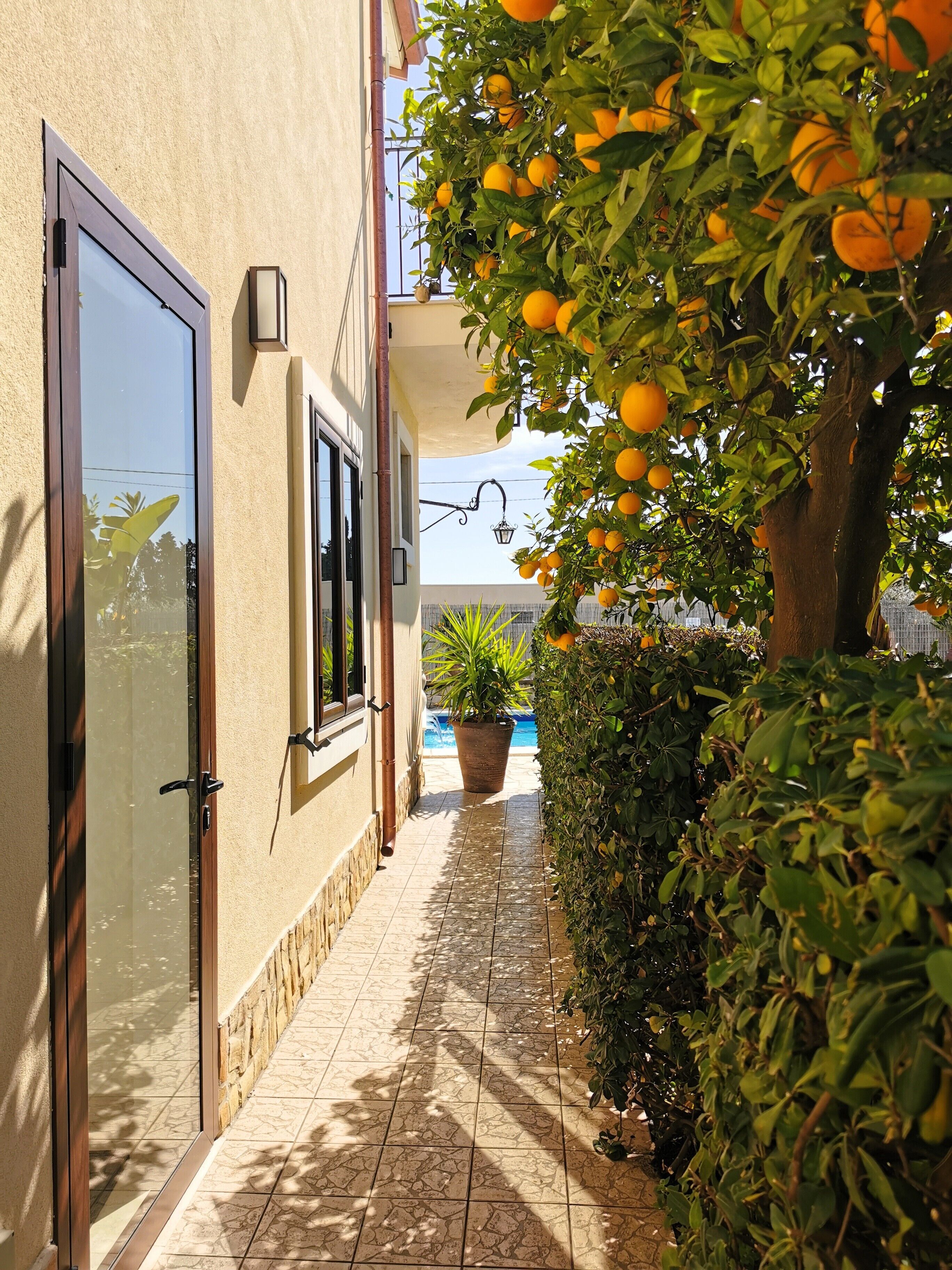 Chambre Confort | Terrasse/Patio