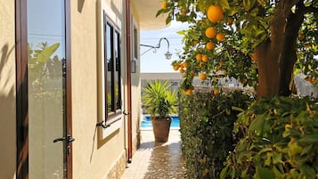 Comfort-Zimmer | Terrasse/Patio