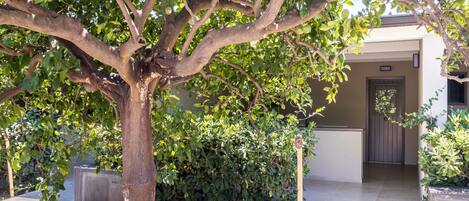 A tree-lined pathway leading to a building entrance.
