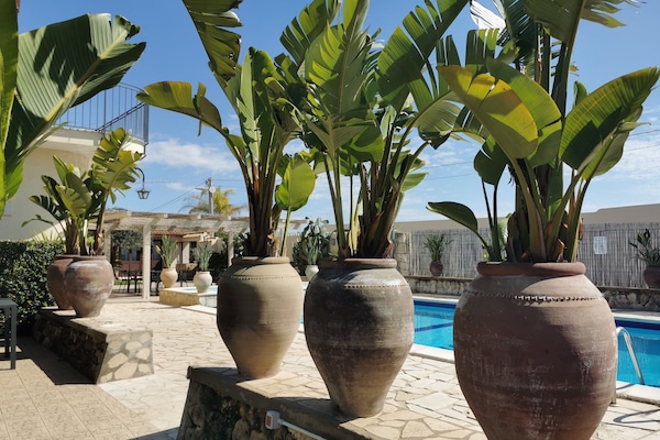 Piscine extérieure, parasols de plage, chaises longues