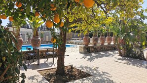 Zona de piscina con plantas en macetas, una mesa y sillas.
