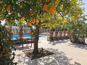 Rom – comfort | Safe på rommet, skrivebord for bærbar PC og blendingsgardiner