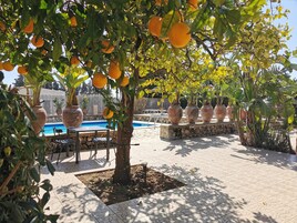 Comfort Δωμάτιο | Χρηματοκιβώτιο στο δωμάτιο, χώρος εργασίας για λάπτοπ 