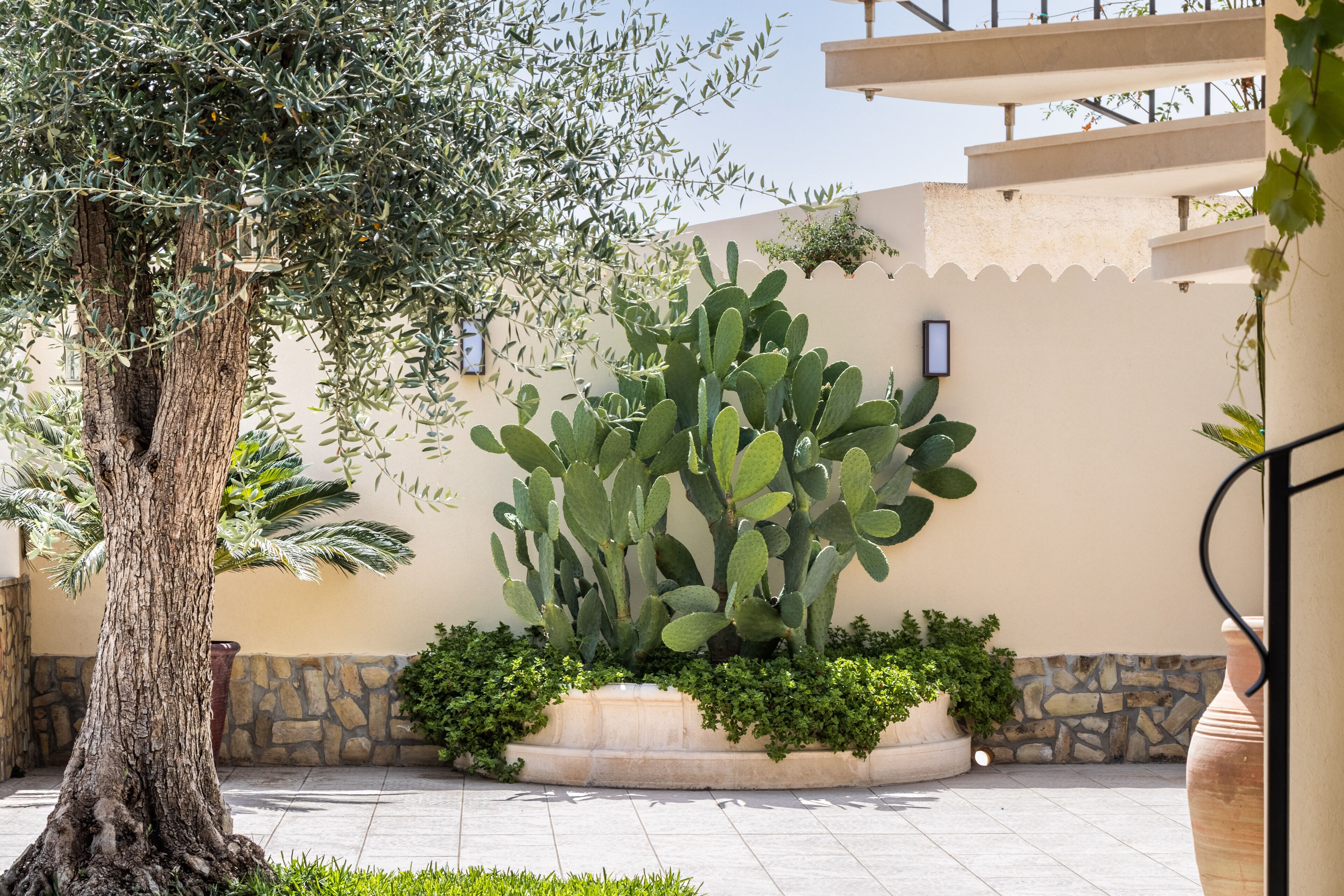 Photo - Villa Felicia