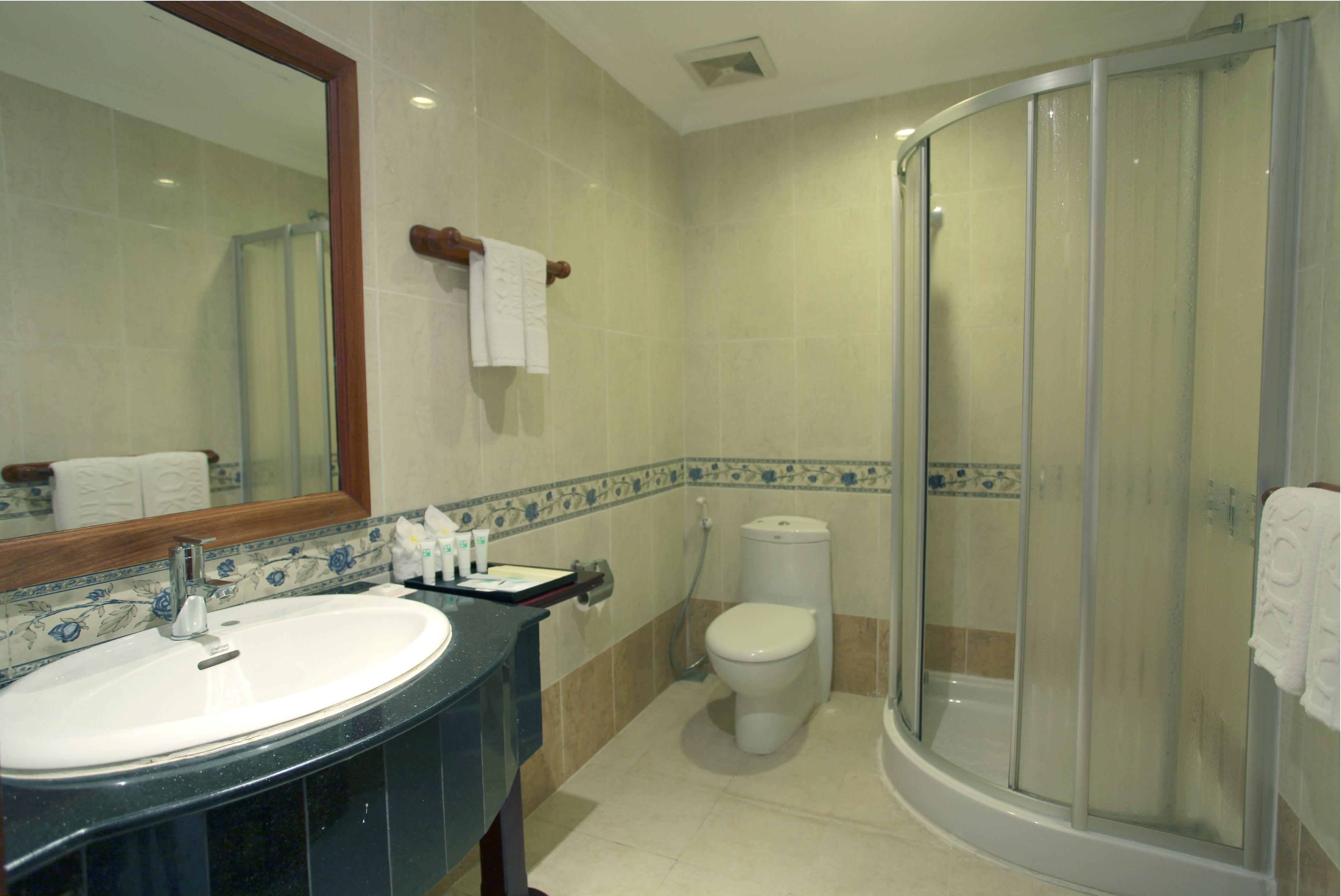 shower, rainfall showerhead, designer toiletries, hair dryer