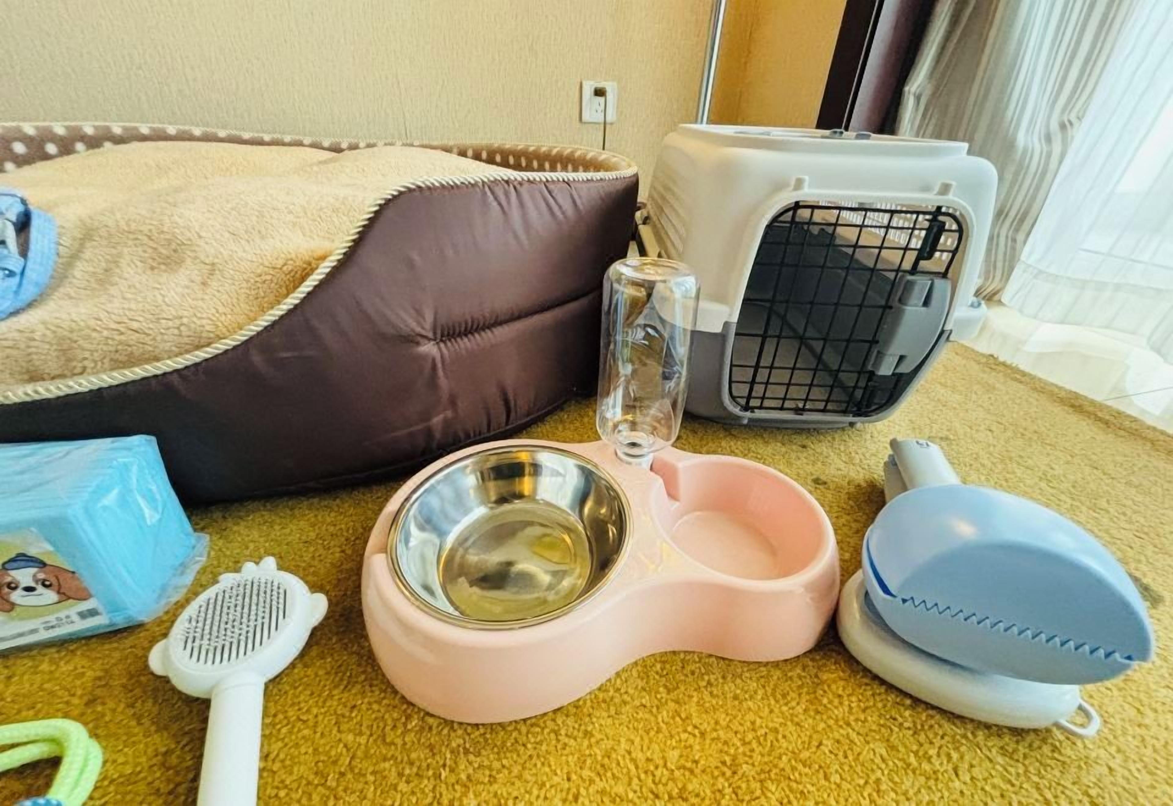 A pet bed, a water bowl, a pet carrier, a grooming brush, and a leash on a carpeted floor.