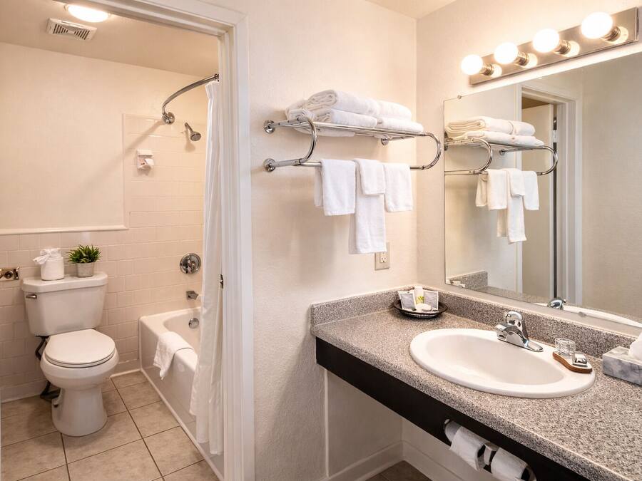 Combined shower/bathtub, free toiletries, hair dryer, towels