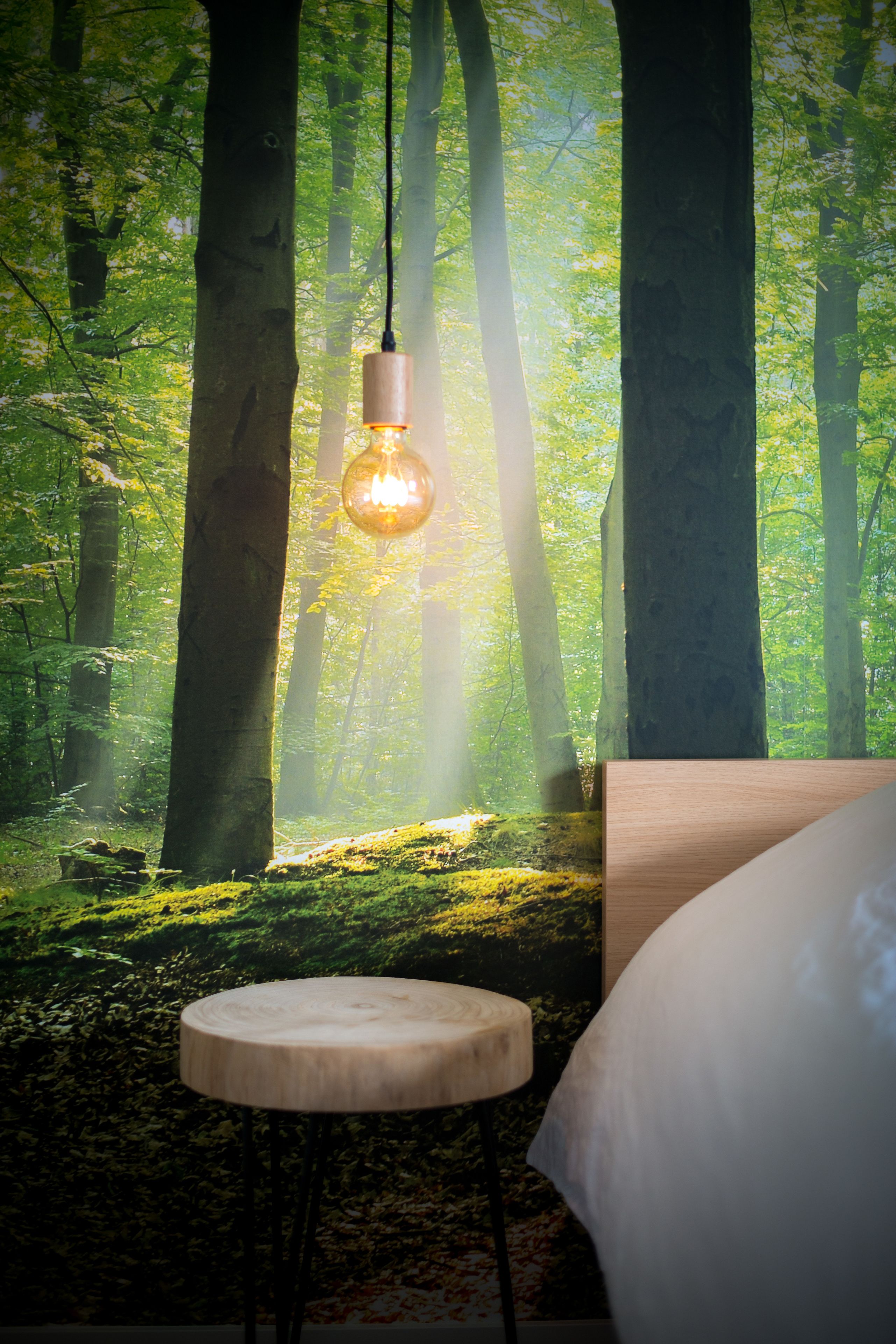 Deluxe-Suite | Individuell dekoriert, individuell eingerichtet, Schreibtisch