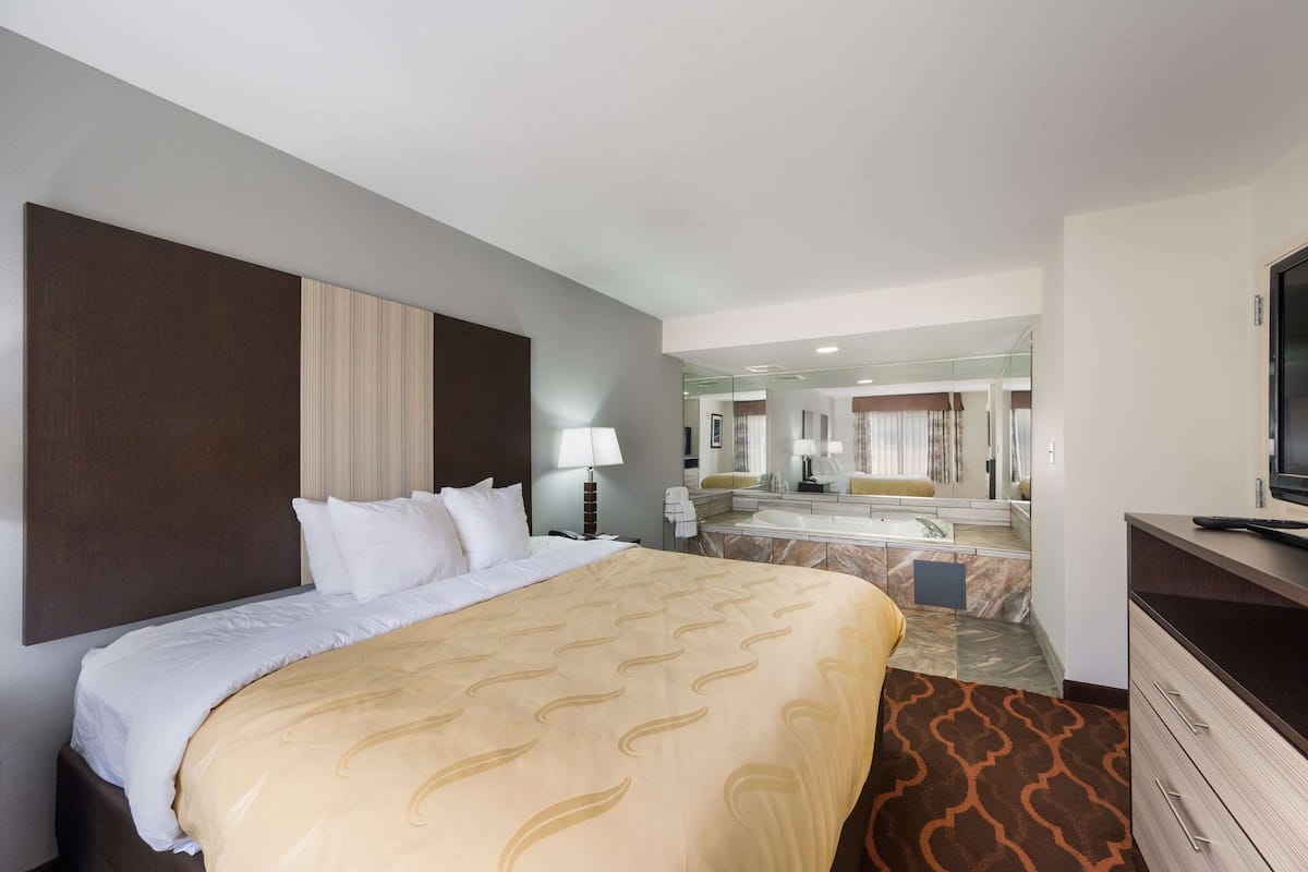 Suite, 1 trÚs grand lit et 1 canapé-lit, non-fumeur (Efficiency, Upgrade)