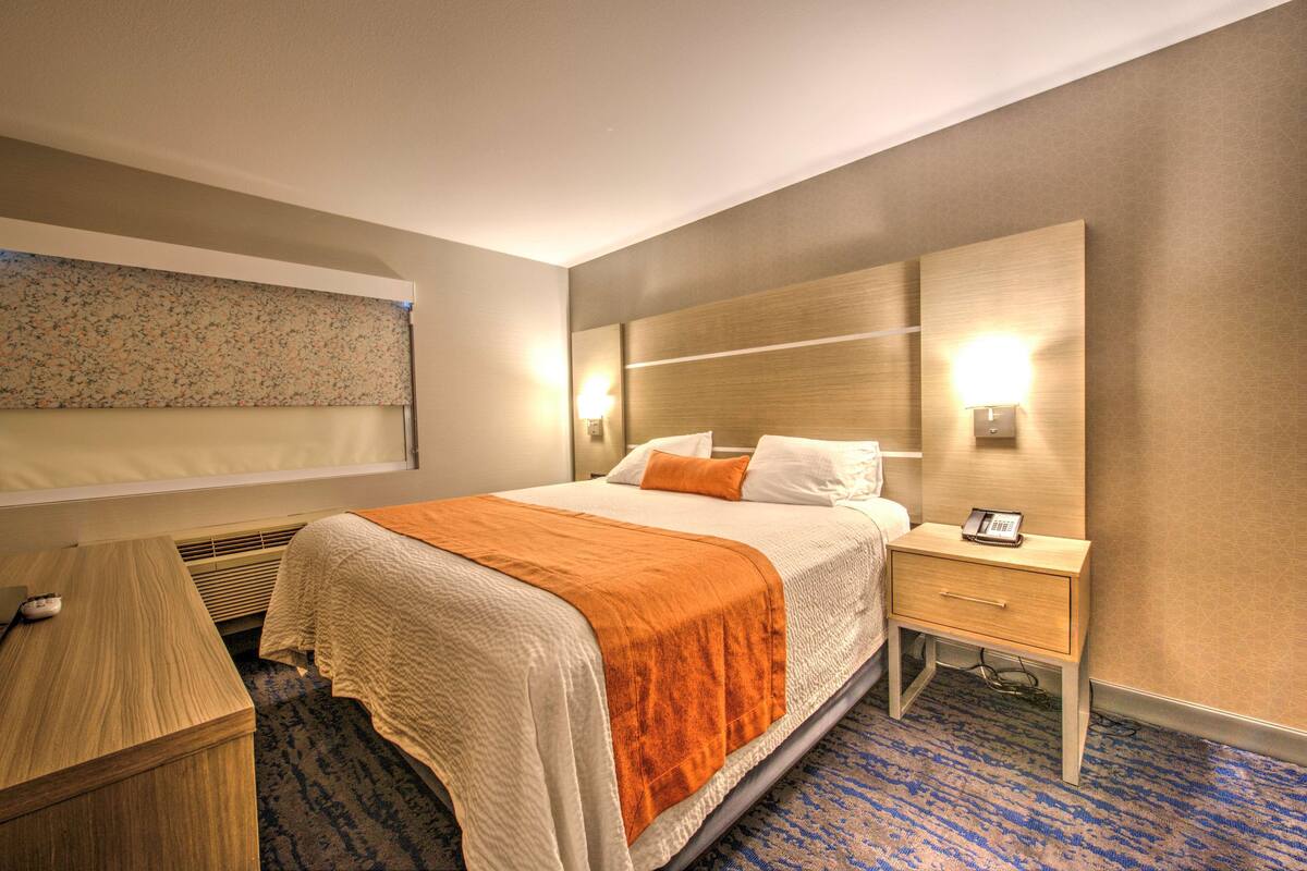 A hotel room with a bed, bedside table, and a nightstand with a phone.