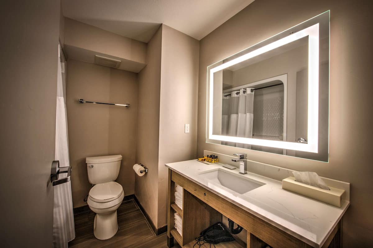 suite, multiple beds, non smoking, refrigerator & microwave (with sofabed) | bathroom | free toiletries, hair dryer, towels, soap
