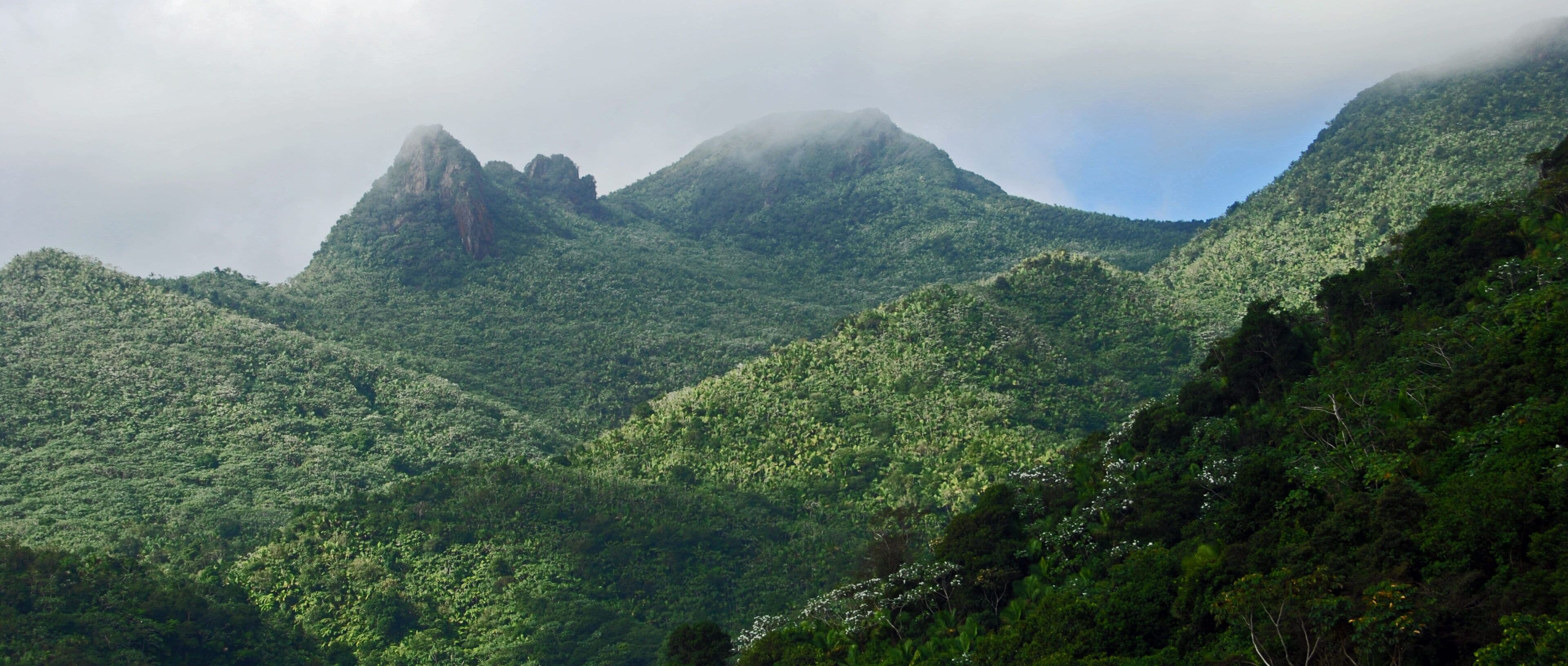 Foto - DREAMCATCHER by DW - ADULTS ONLY