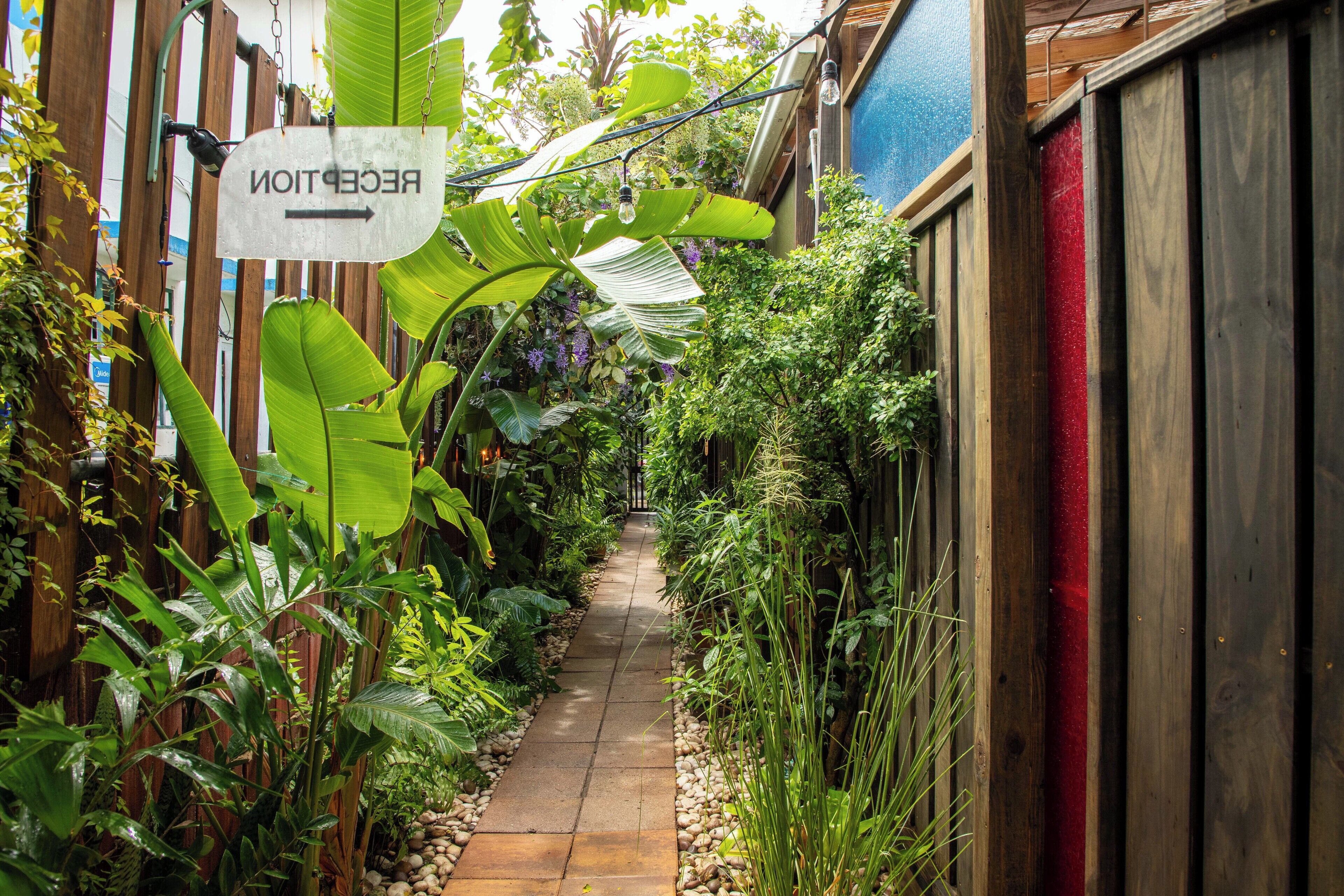 Foto - DREAMCATCHER by DW - ADULTS ONLY