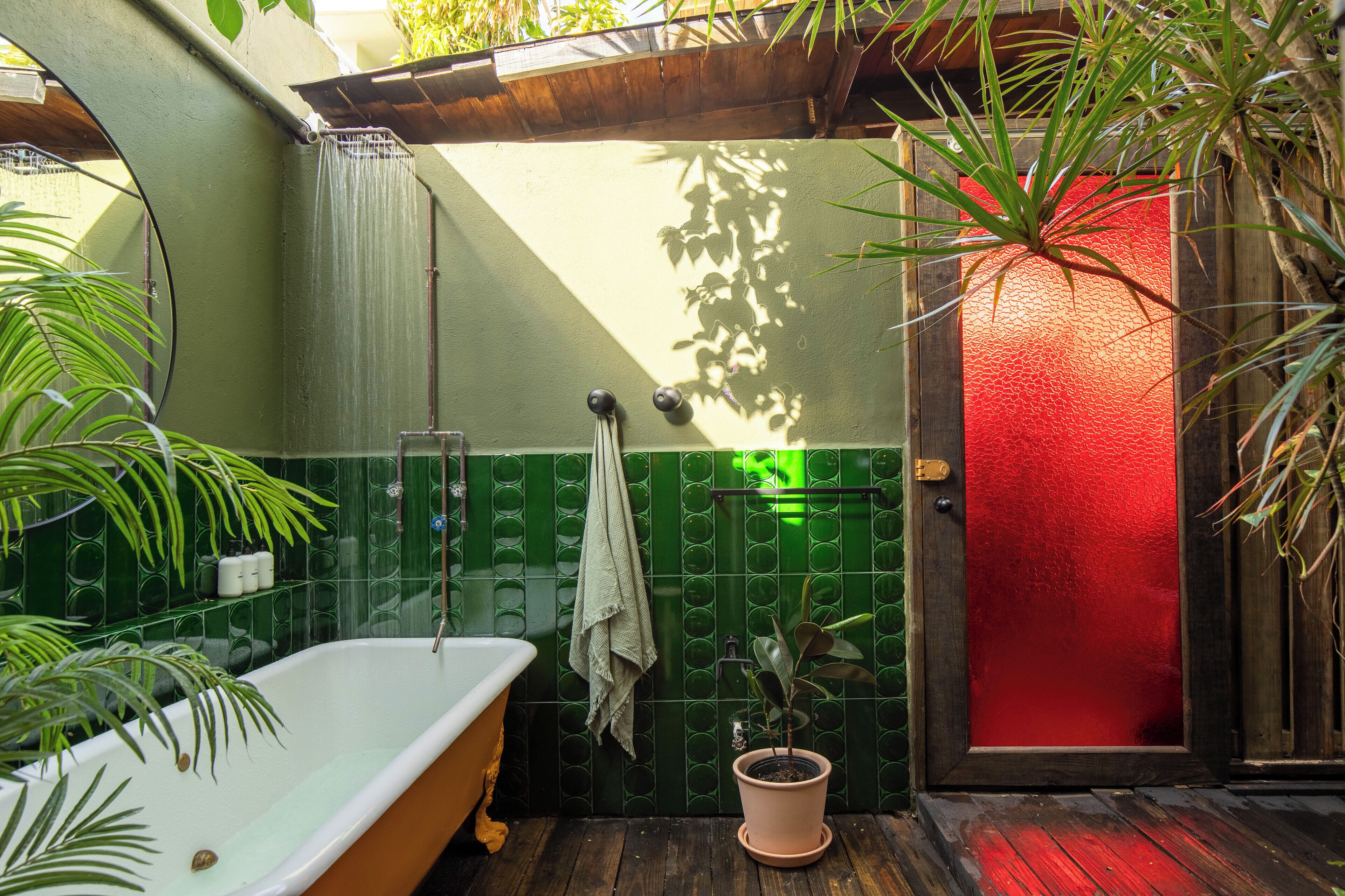 Une salle de bain avec une baignoire, une douche et une plante en pot.
