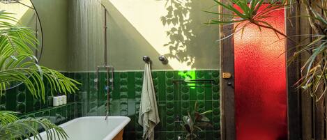 Une salle de bain avec une baignoire, une douche et une plante en pot.