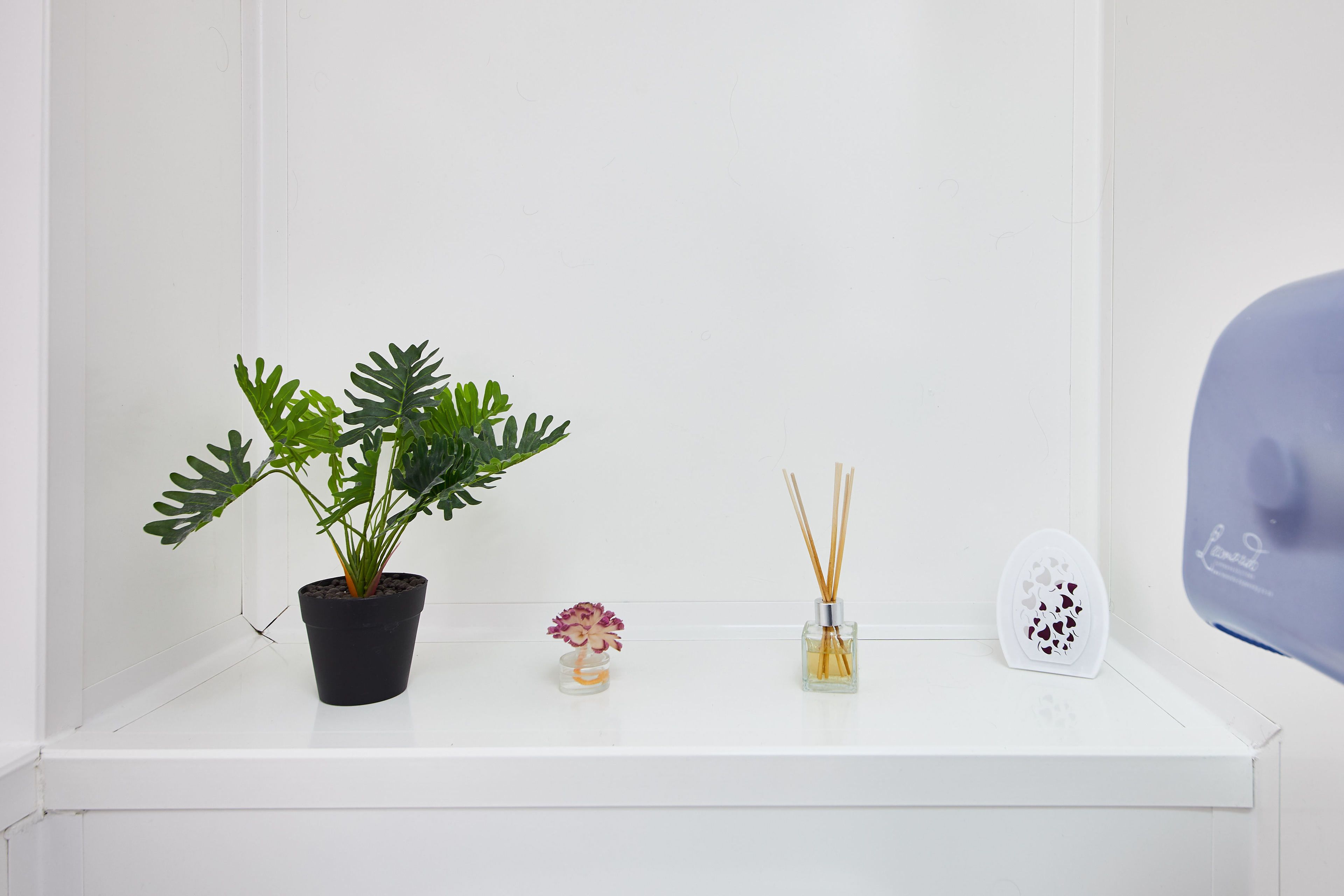 A white shelf with a potted plant, a small flower vase, and two reed diffuser containers.