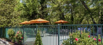 The Jack London Lodge