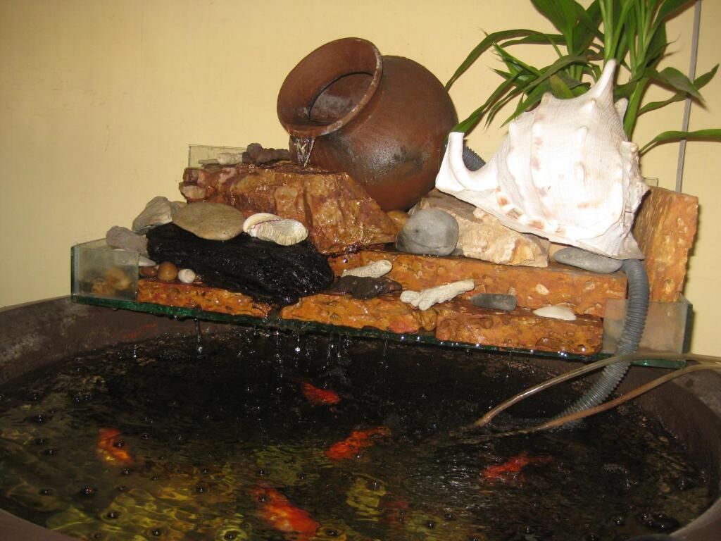 Foto - Comfort House