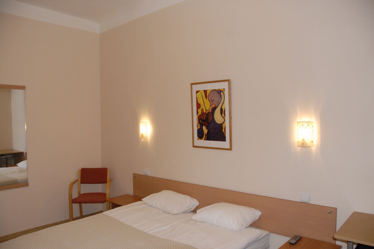 Standard-Doppelzimmer | Bügeleisen/Bügelbrett, kostenloses WLAN, Bettwäsche