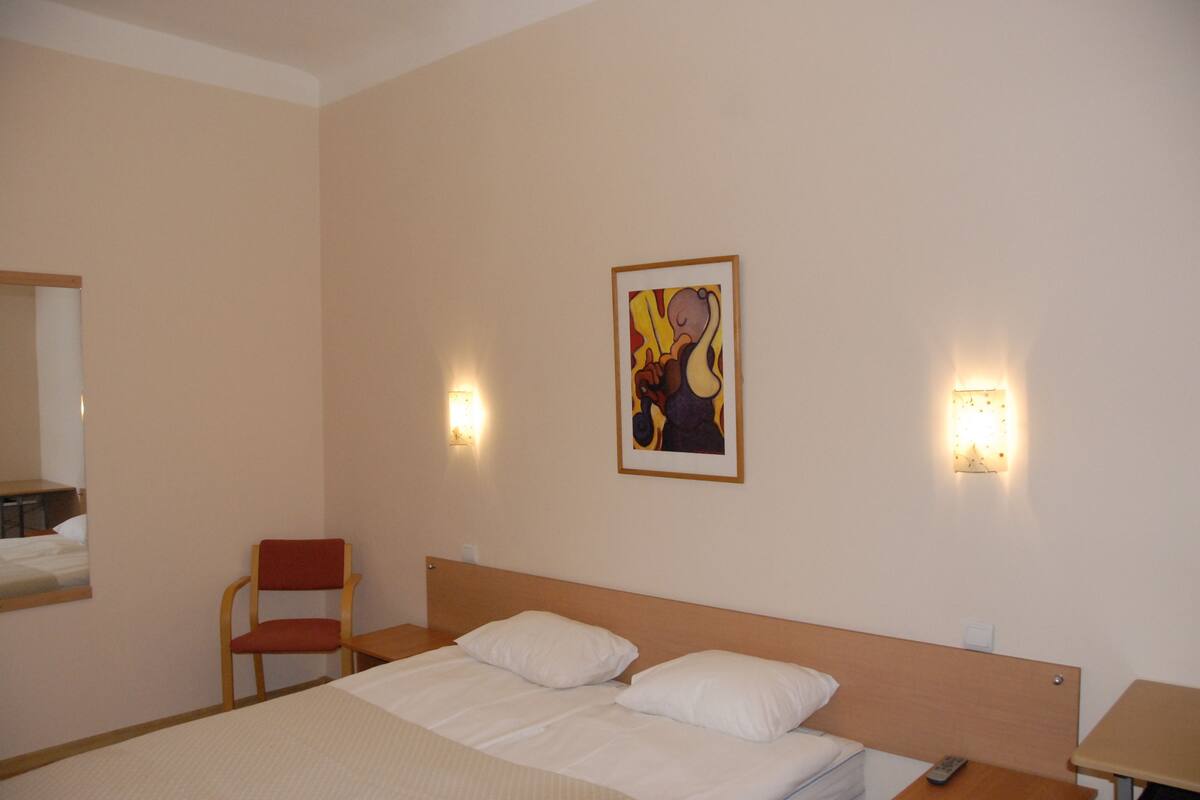 Standard-Doppelzimmer | Bügeleisen/Bügelbrett, kostenloses WLAN, Bettwäsche