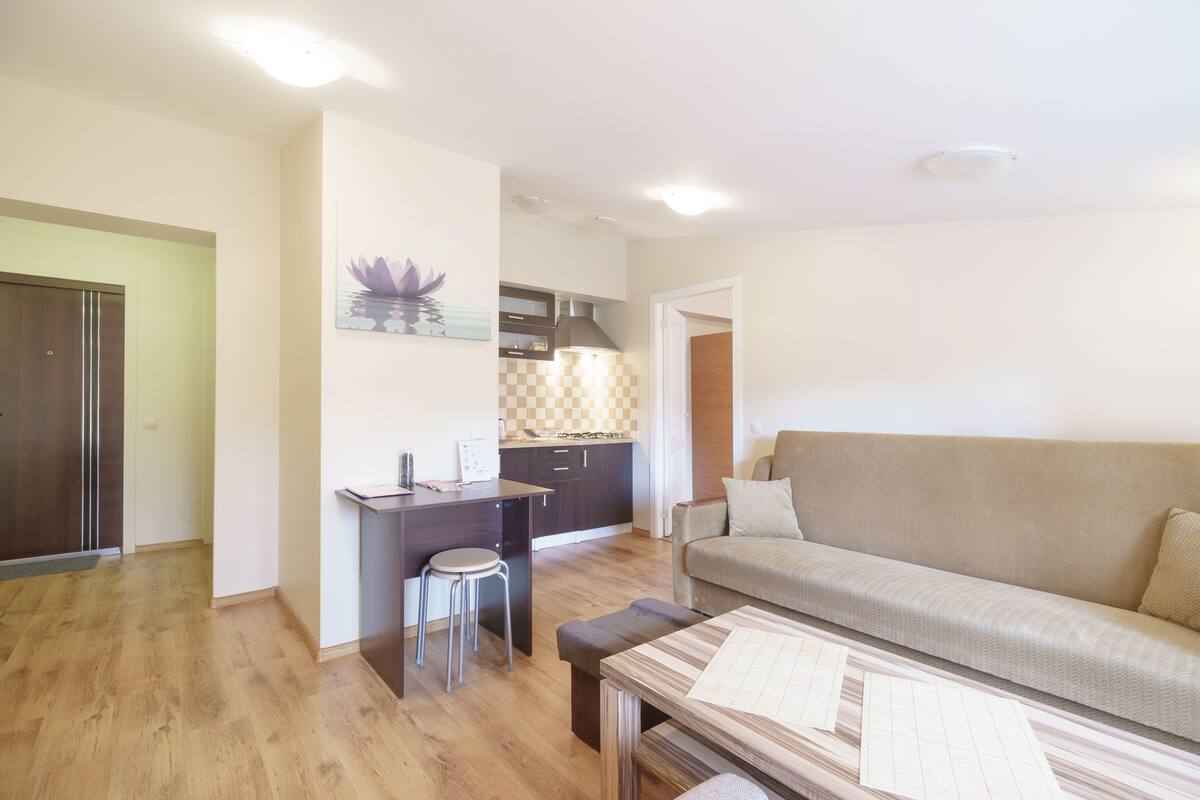 Basic-Apartment, 1 Schlafzimmer | Wohnzimmer | Fernseher