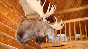 Perhetalo, 1 makuuhuone, näköala puutarhaan, puutarha-alue | 1 makuuhuone, yksilöllisesti sisustettu, yksilöllisesti kalustettu