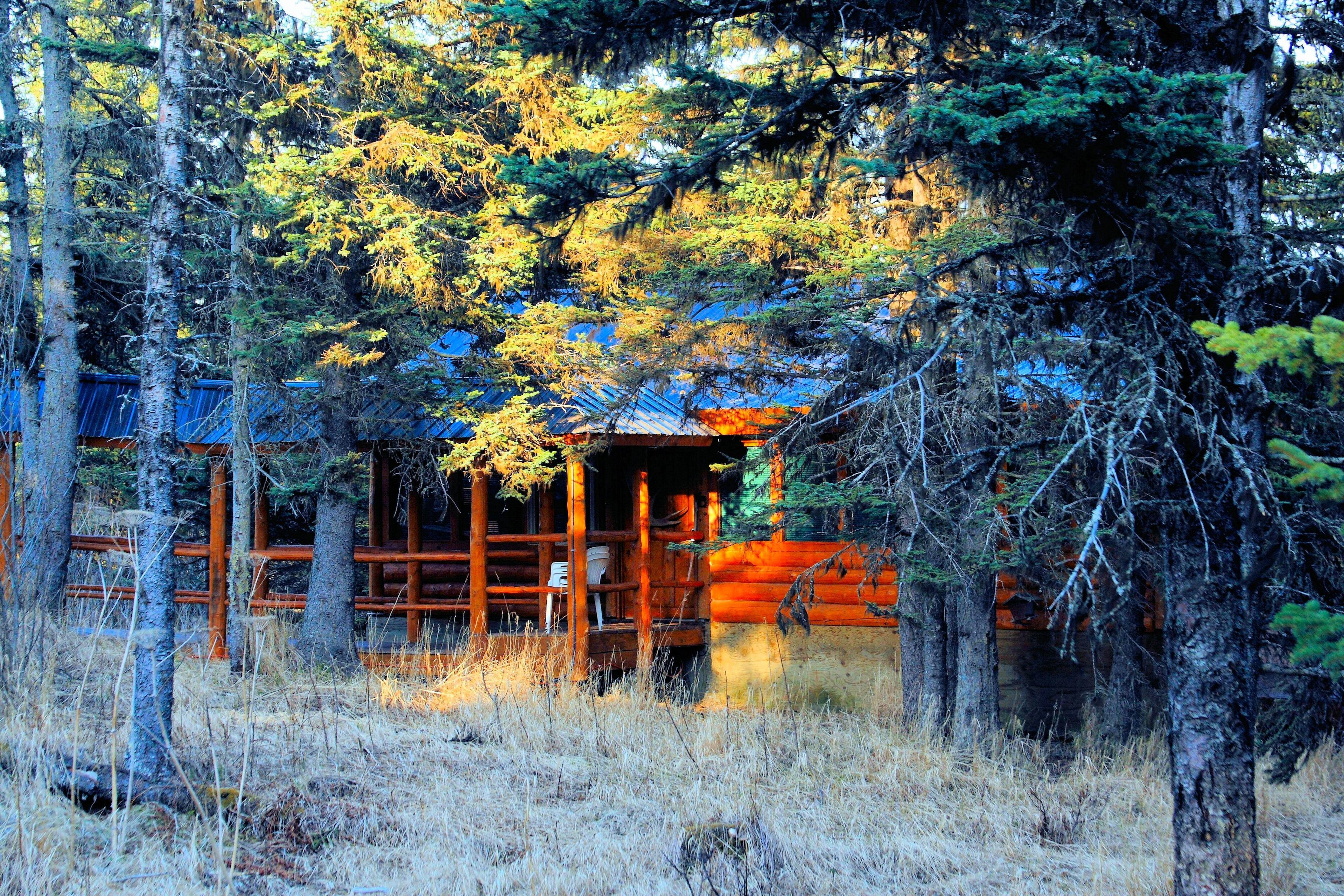 家庭小屋, 2 間臥室 | 客房景觀