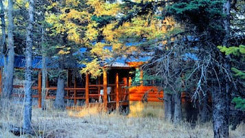 Moose Cabin | View from room