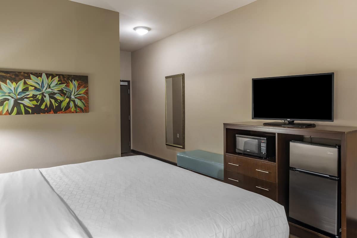 A hotel room with a bed, a television, a microwave, a refrigerator, a mirror, and a painting on the wall.
