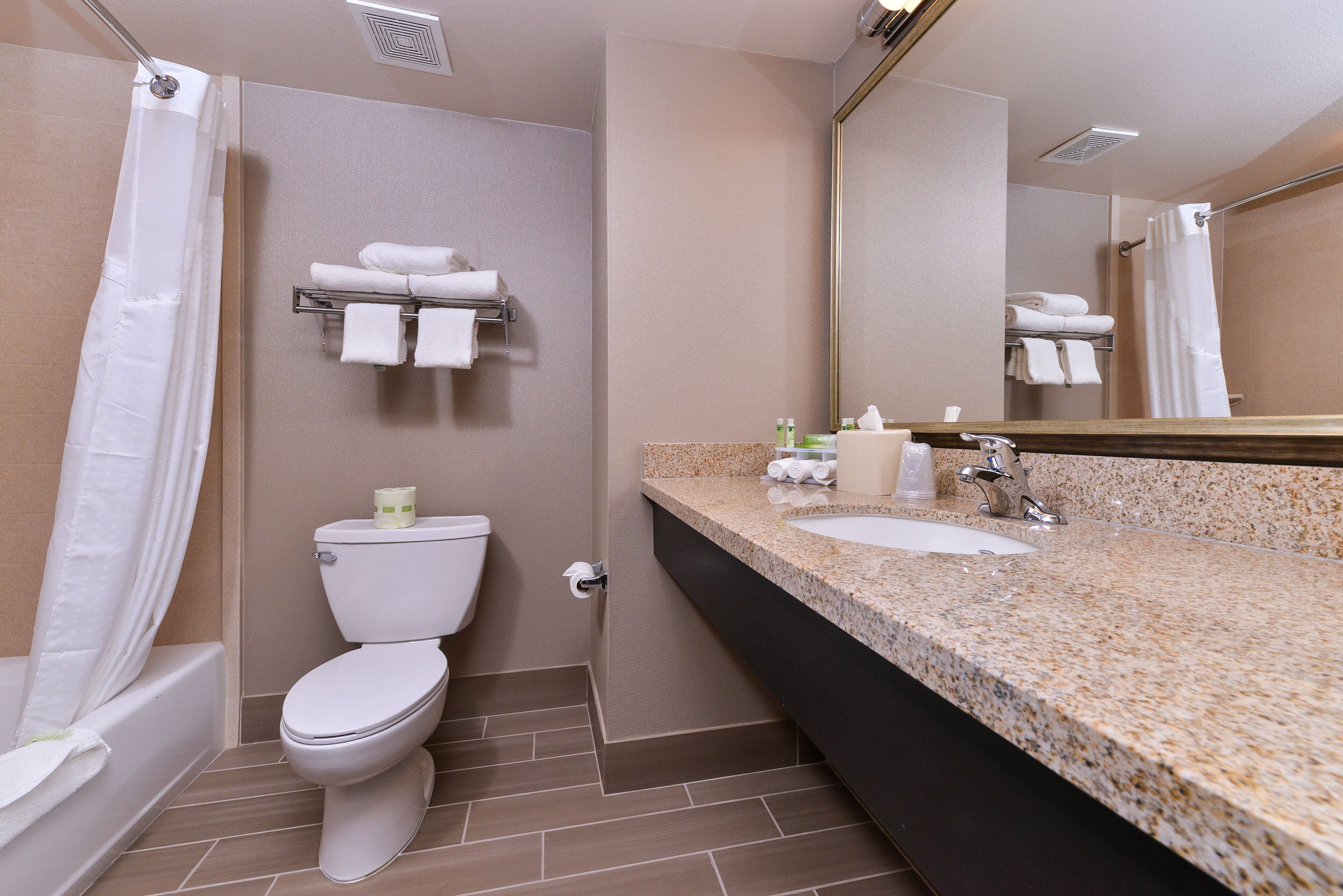 Une salle de bain avec des toilettes, un lavabo et une douche.