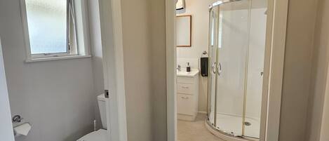 A bathroom with a toilet, a shower, and a window.