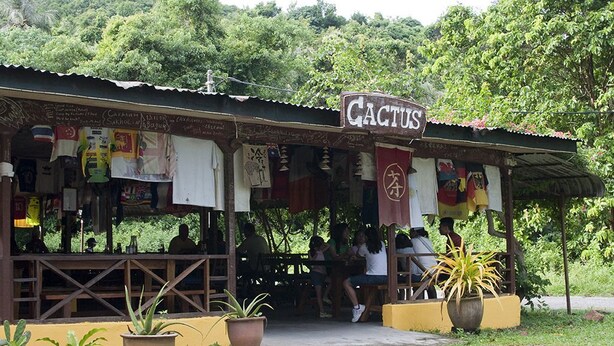 Un café en plein air au décor rustique, appelé « Cactus », avec des tables et des bancs en bois, entouré de plantes en pot.