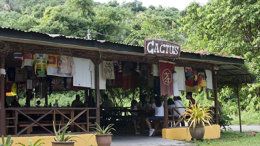 Cactus Inn