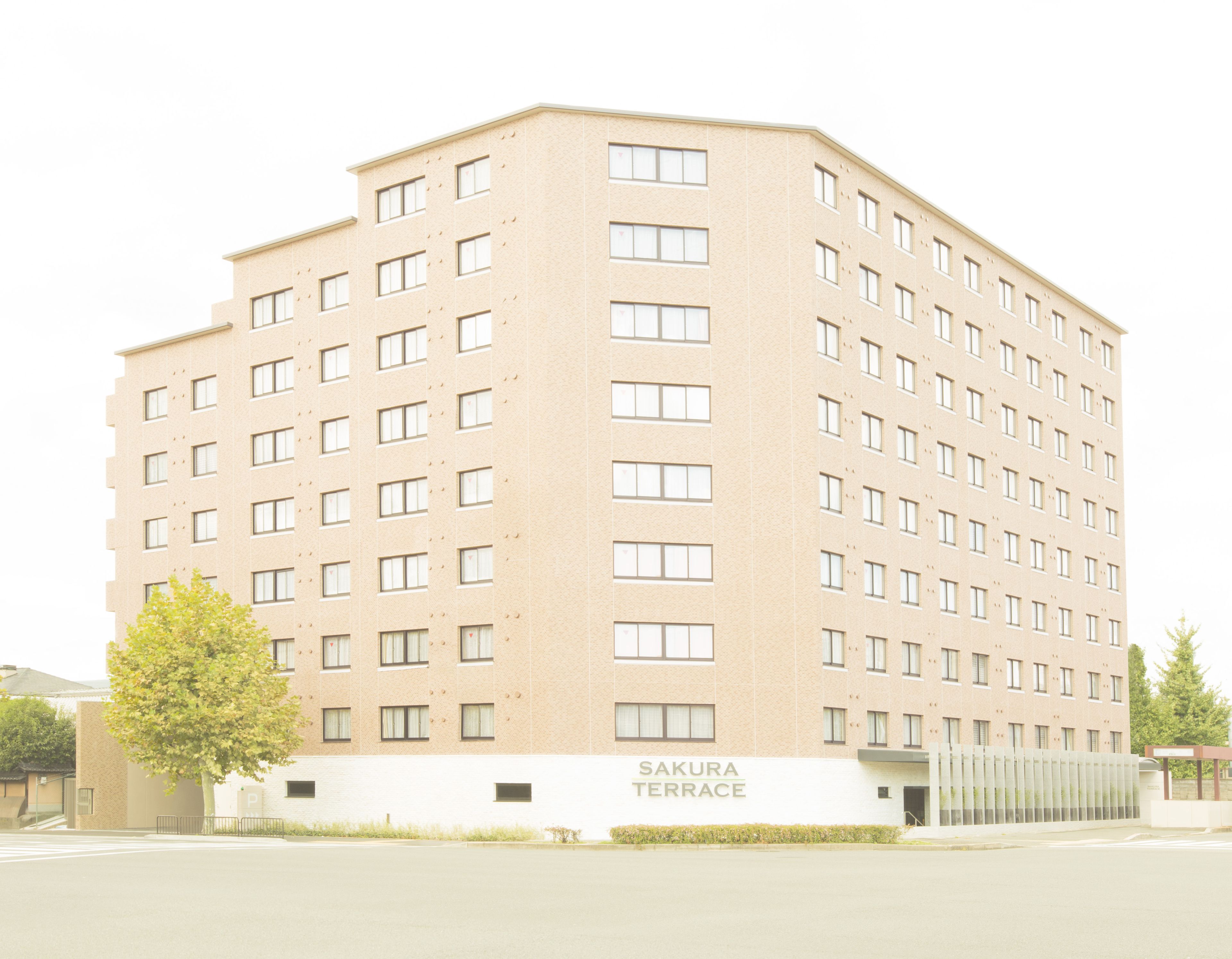 Photo - Sakura Terrace