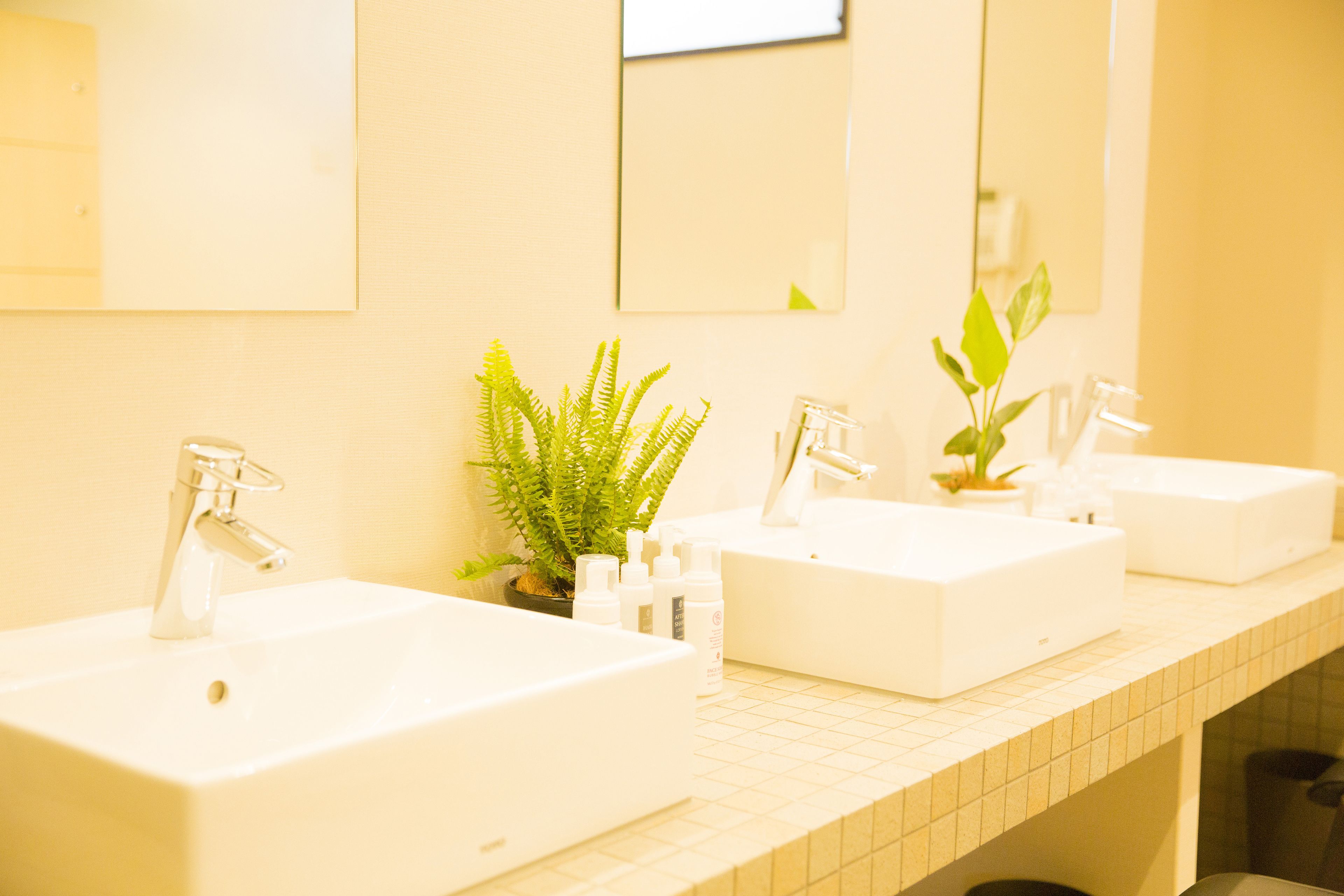 Photo - Sakura Terrace