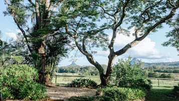Pemandangan dari properti