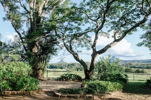 View from property - Blackwattle Farm B&B and Farm Stay (Peachester)