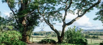 Blackwattle Farm B&B and Farm Stay