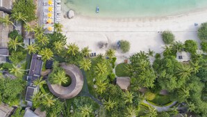 An aerial view of a beach with palm trees, a sandy shore, and a few umbrellas. - Beach Club by Haad Tien (Koh Tao)