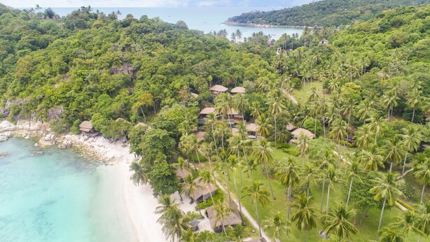 An aerial view of a tropical resort with a beach, palm trees, and thatched-roof huts. - Beach Club by Haad Tien (Koh Tao)