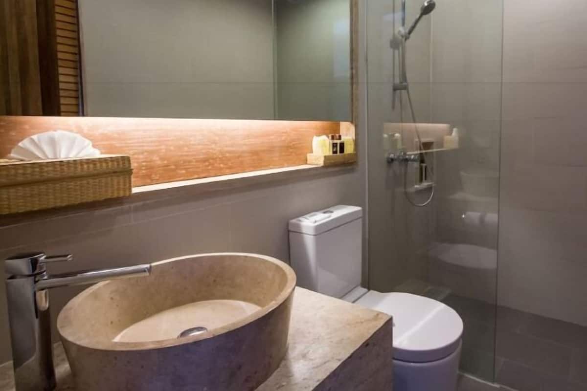 Shower, free toiletries, hair dryer, bathrobes