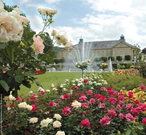 View from property - Villa Thea Spa Hotel at Rosengarten (Bad Kissingen)