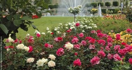 Villa Thea Spa Hotel at Rosengarten